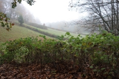 DSC02215