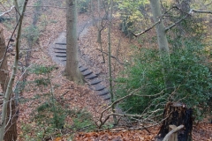 DSC02241