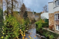 IMG_20221104_121505