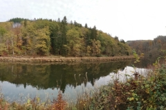 IMG_20221105_120930