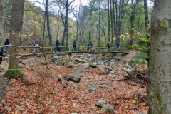 IMG_20221106_110451710_HDR