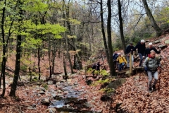 IMG_20221106_111054