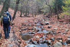 IMG_20221106_111100