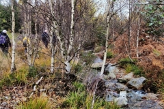 IMG_20221106_121423