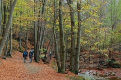 IMG_20221106_153458