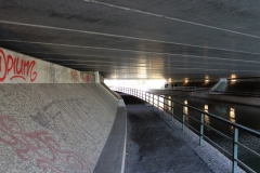 DSC02291