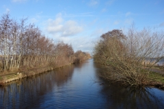 DSC03502