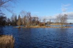DSC03507