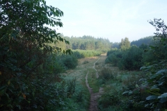 DSC02867
