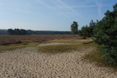 DSC02880