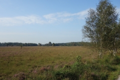 DSC02971