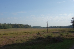 DSC02973
