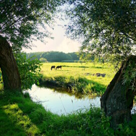 Aankondiging: Ochtendhike Rondom de Inlaagpolder-Spaarndam, zaterdag 28 september 2024