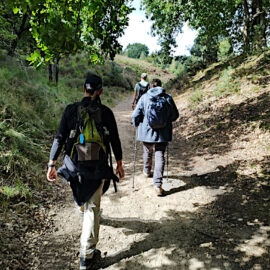 Verslag: Meerdaagse hike – Nationaal Park Hoge Kempen, België 29-31 augustus 2025 Verslag: Meerdaagse hike – Nationaal Park Hoge Kempen, België 29-31 augustus 2025